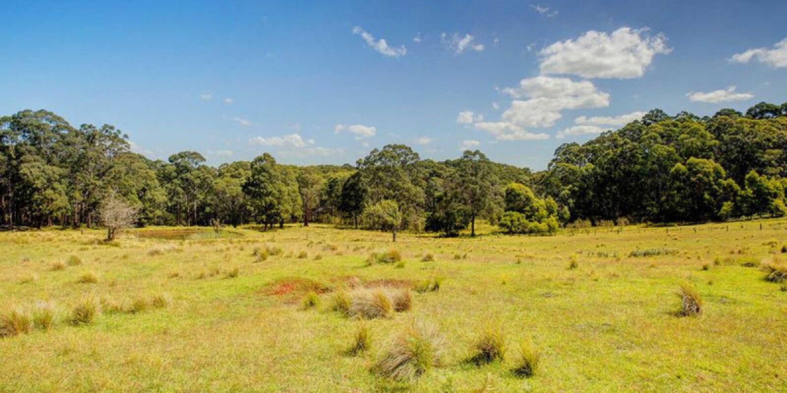 209 Spring Hills Road Meryla 209 Spring Hills Road Meryla