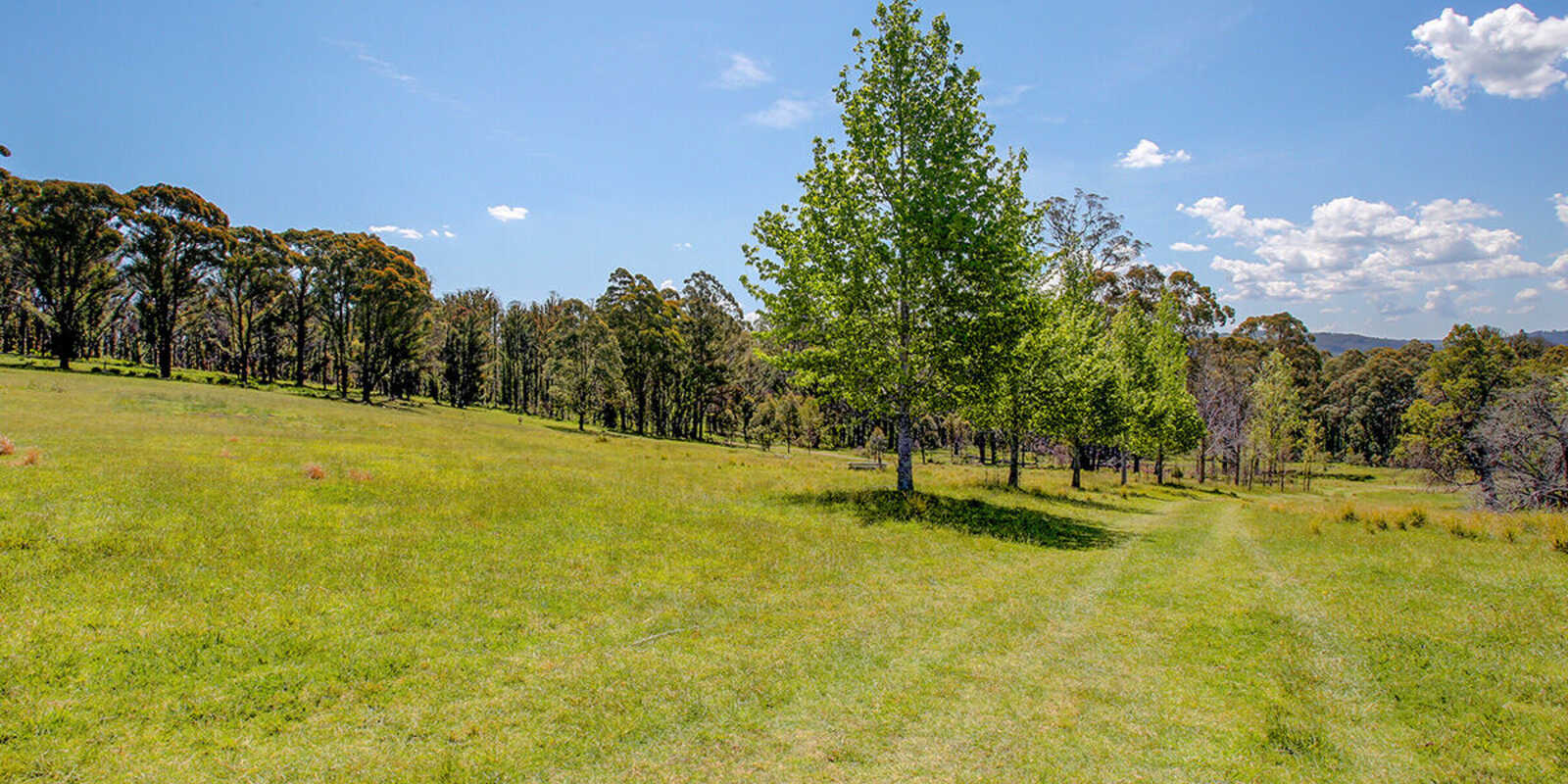 209 Spring Hills Road Meryla 209 Spring Hills Road Meryla