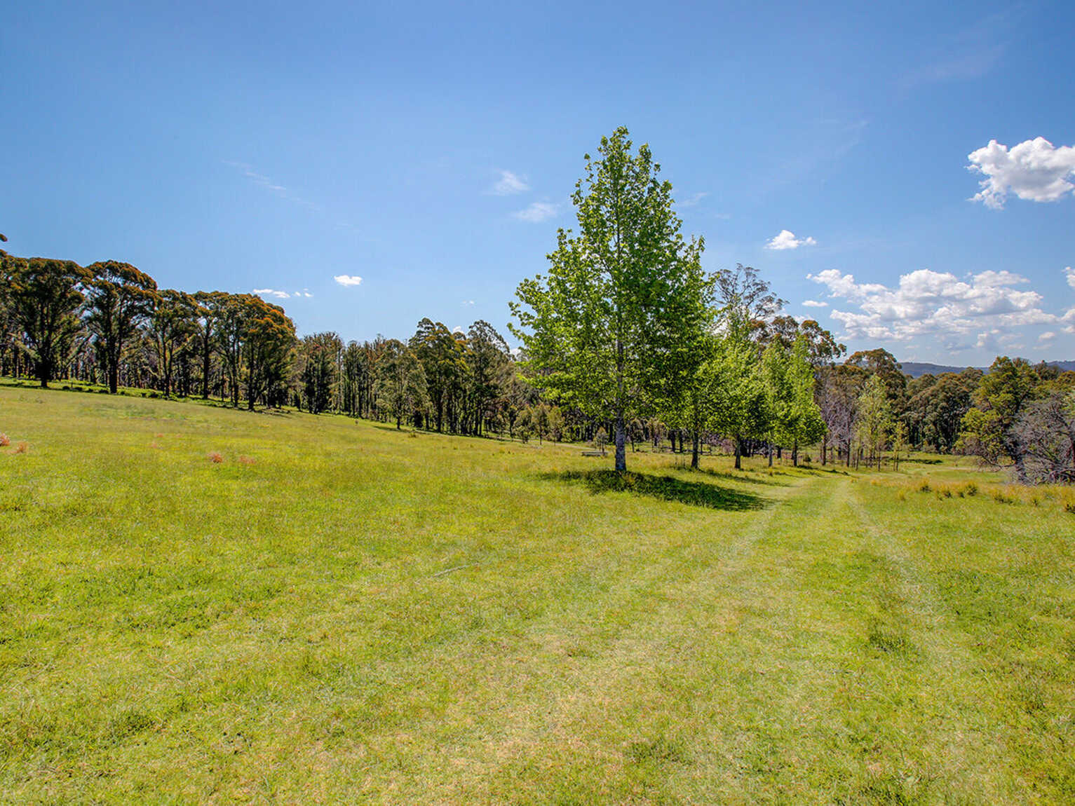 209 Spring Hills Road Meryla 209 Spring Hills Road Meryla