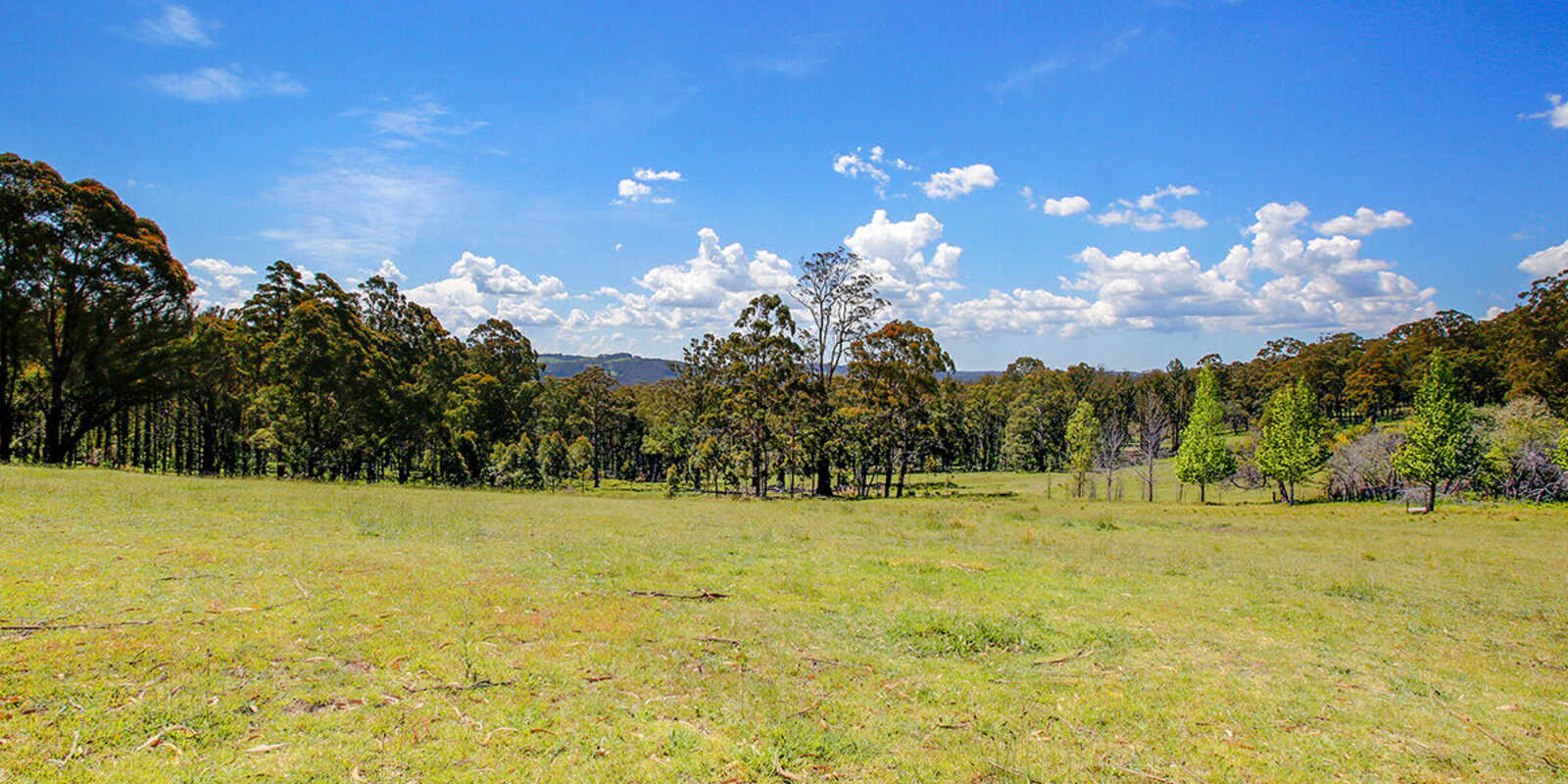 209 Spring Hills Road Meryla 209 Spring Hills Road Meryla