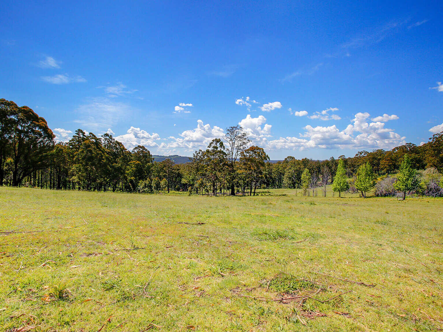 209 Spring Hills Road Meryla 209 Spring Hills Road Meryla