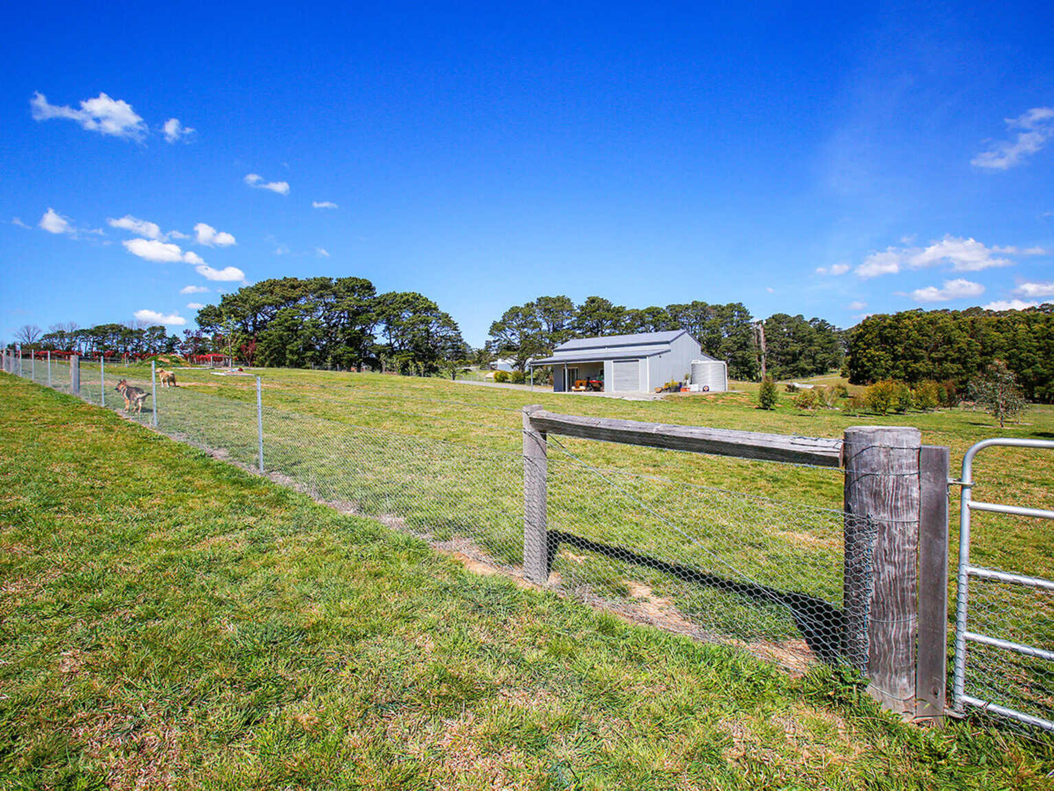 76 Ringwood Lane Exeter