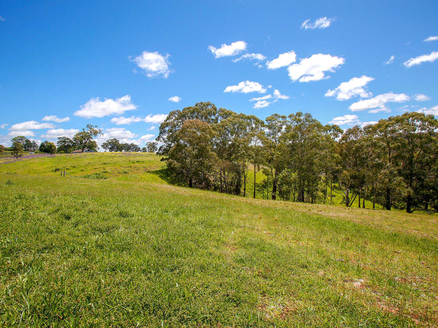 705 Caoura Road Tallong