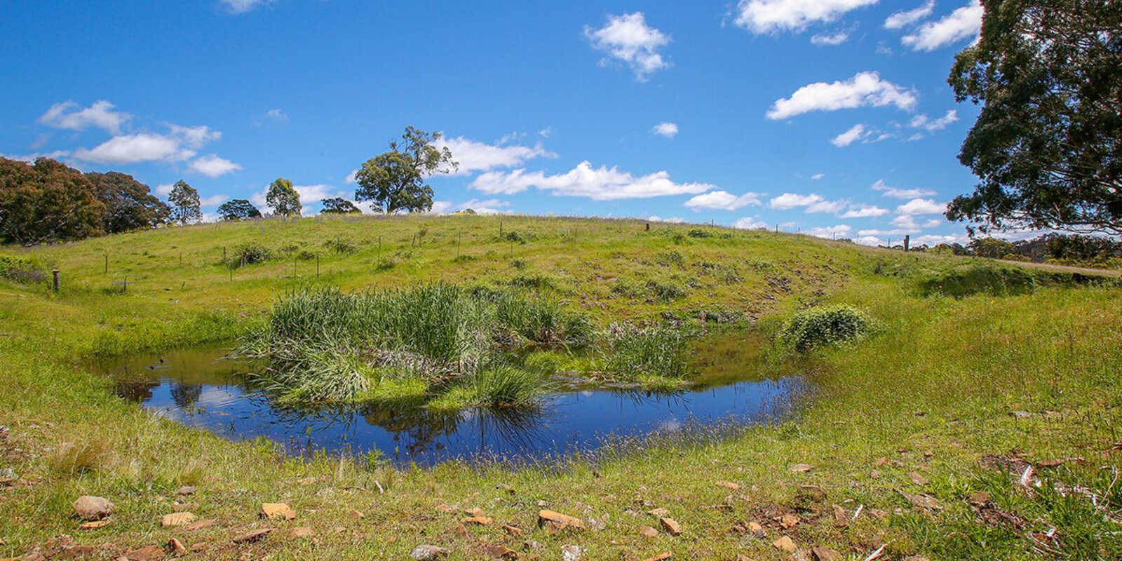 705 Caoura Road Tallong