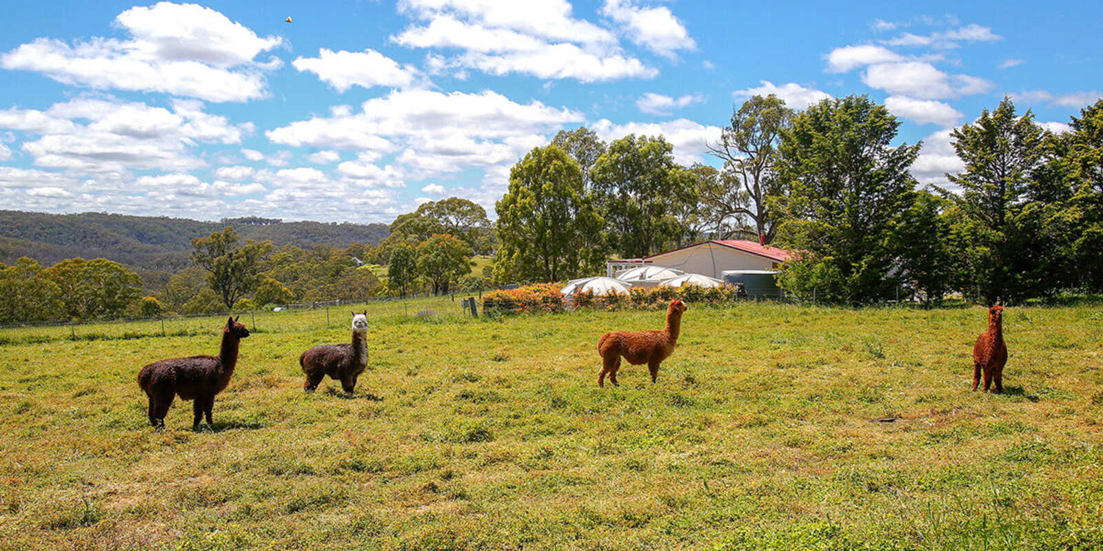 705 Caoura Road Tallong