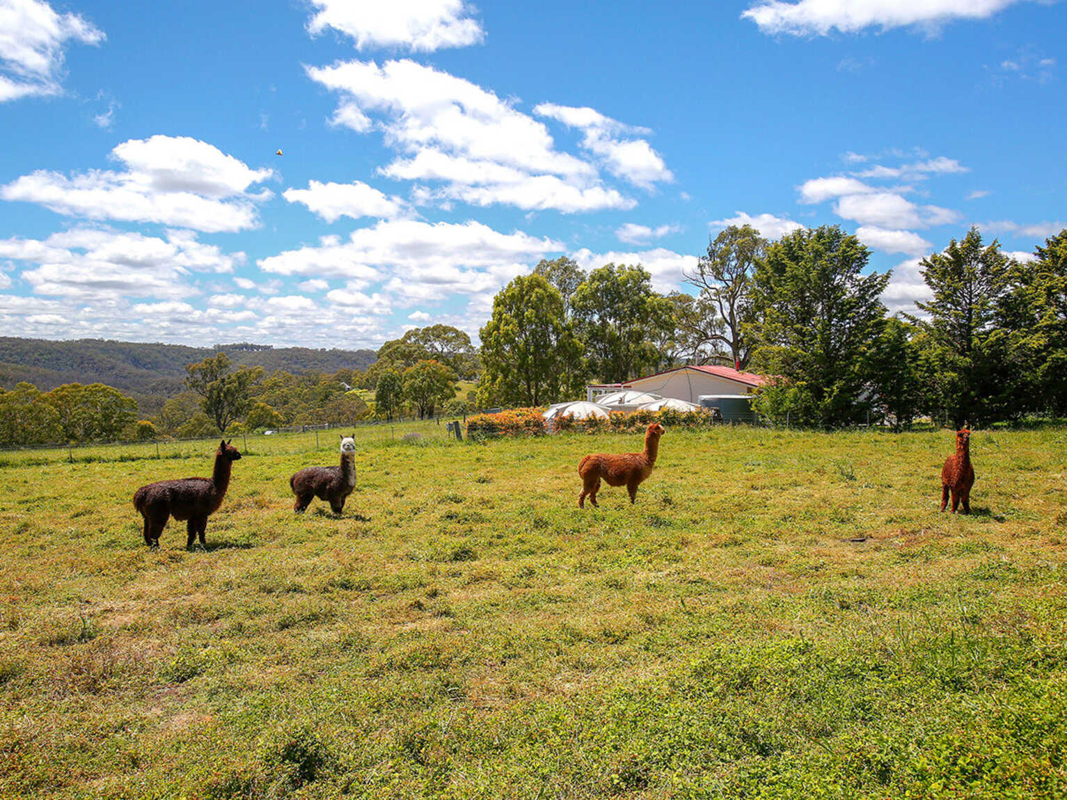 705 Caoura Road Tallong