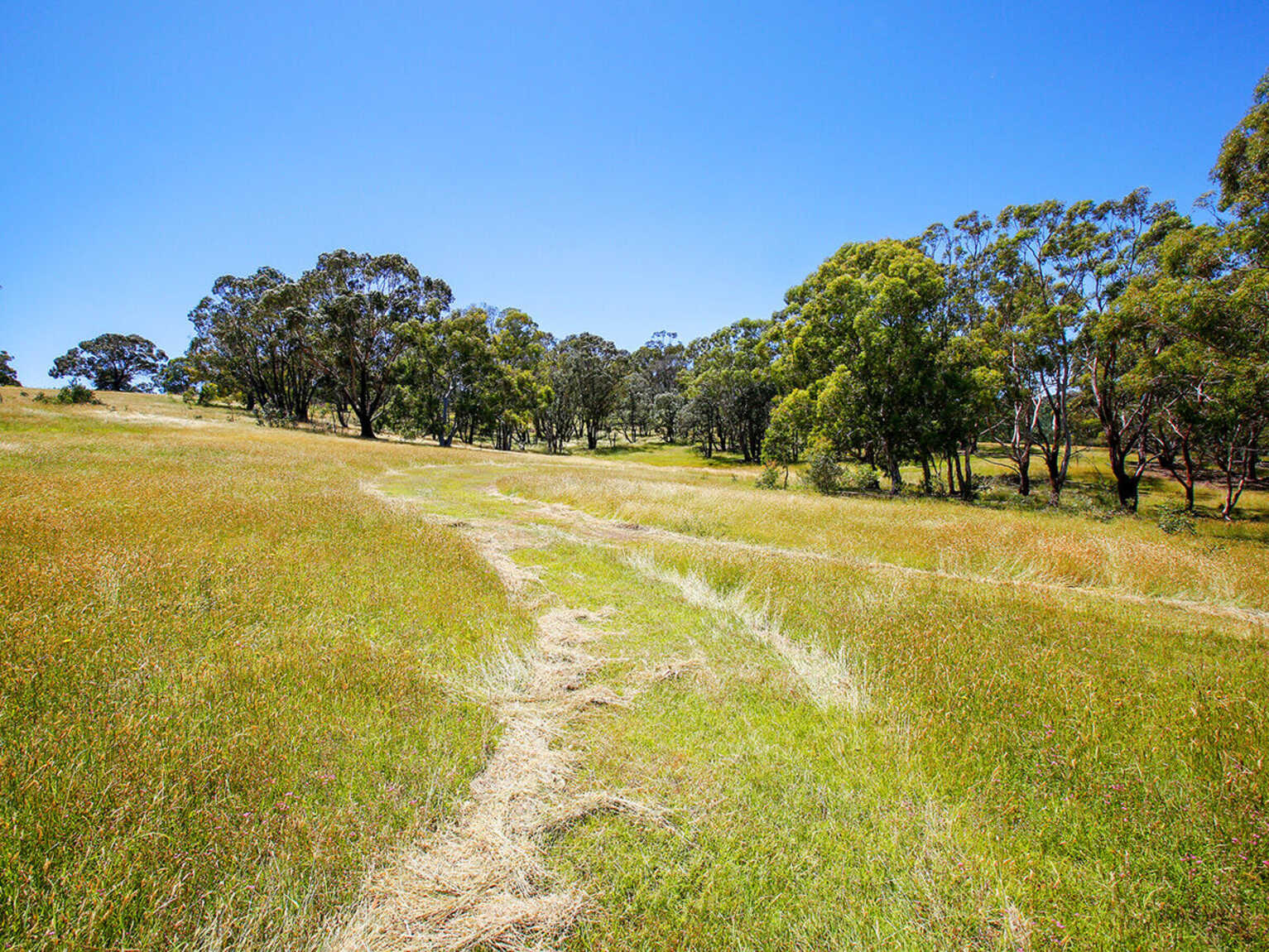 Lot 3 & Lot 4 Murrimba Road Wingello Lot 3 & Lot 4 Murrimba Road Wingello