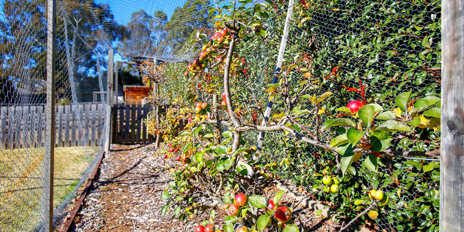 63 Ellsmore Road Bundanoon