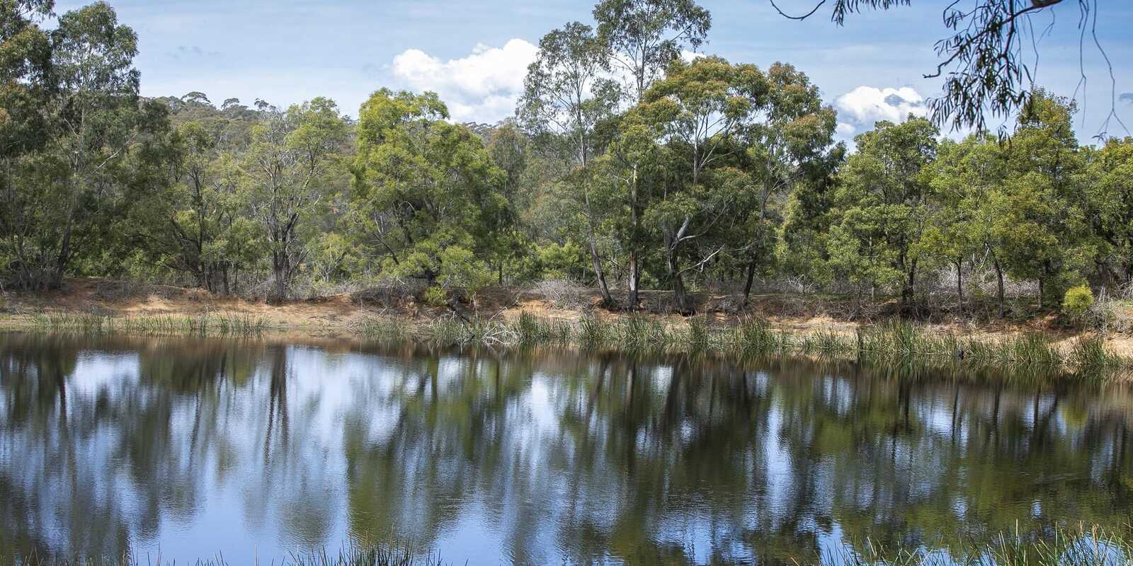 Moss Vale Moss Vale
