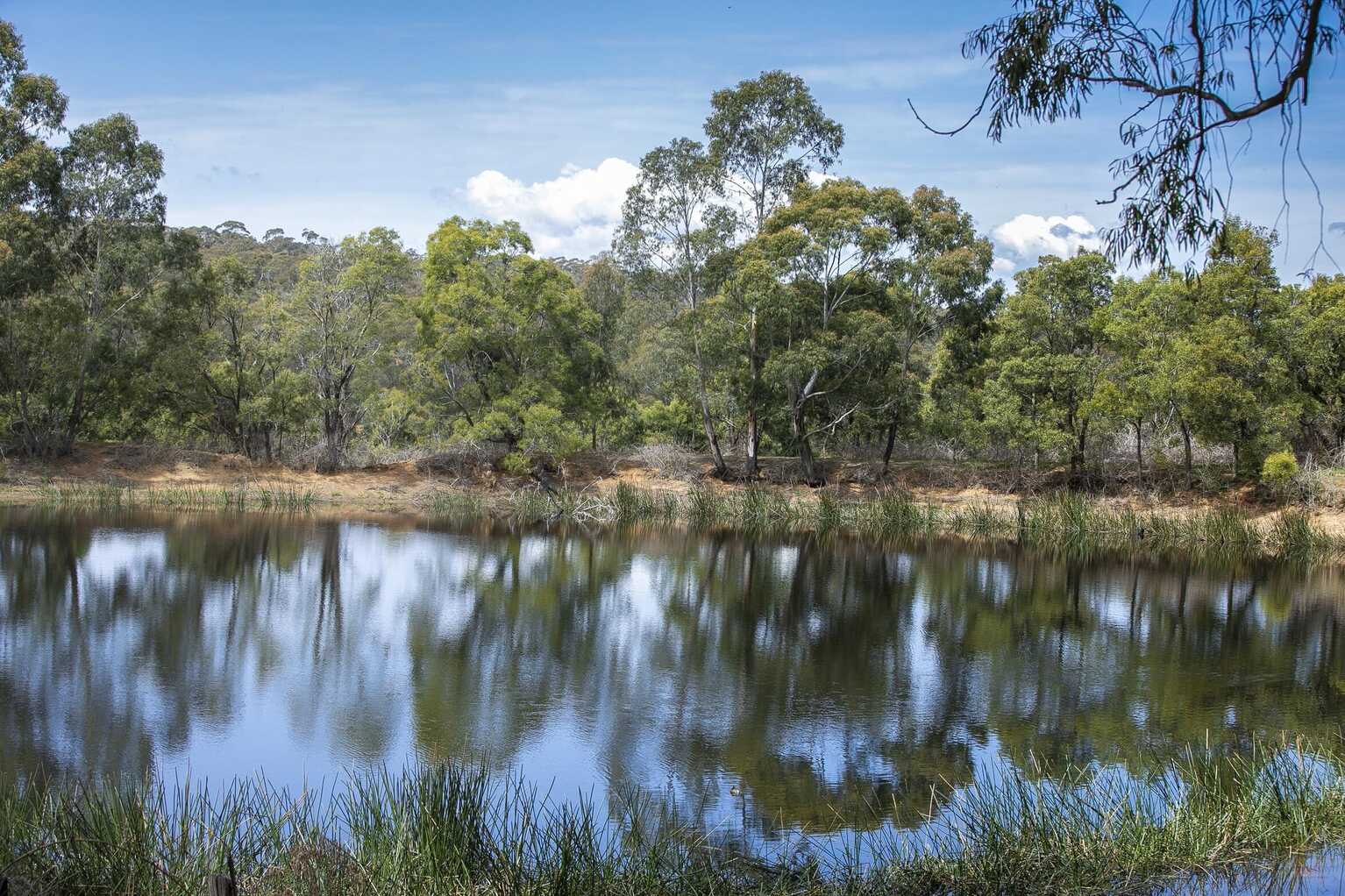 Moss Vale Moss Vale