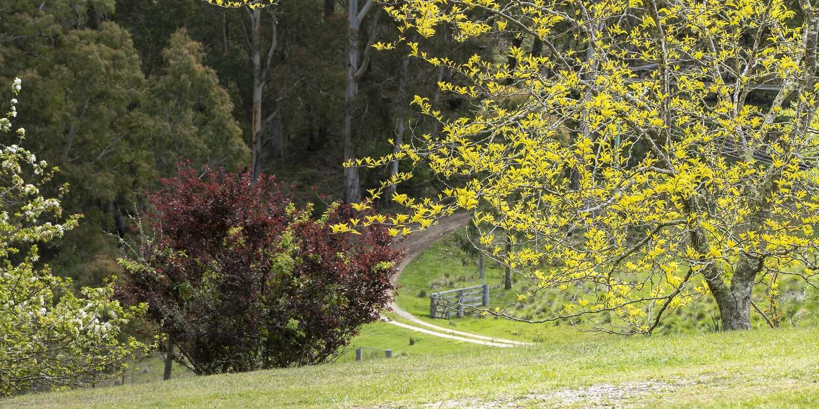 Moss Vale Moss Vale