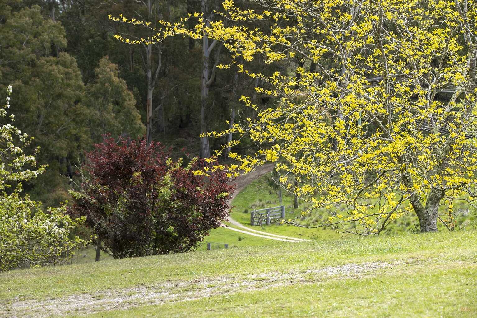 Moss Vale Moss Vale
