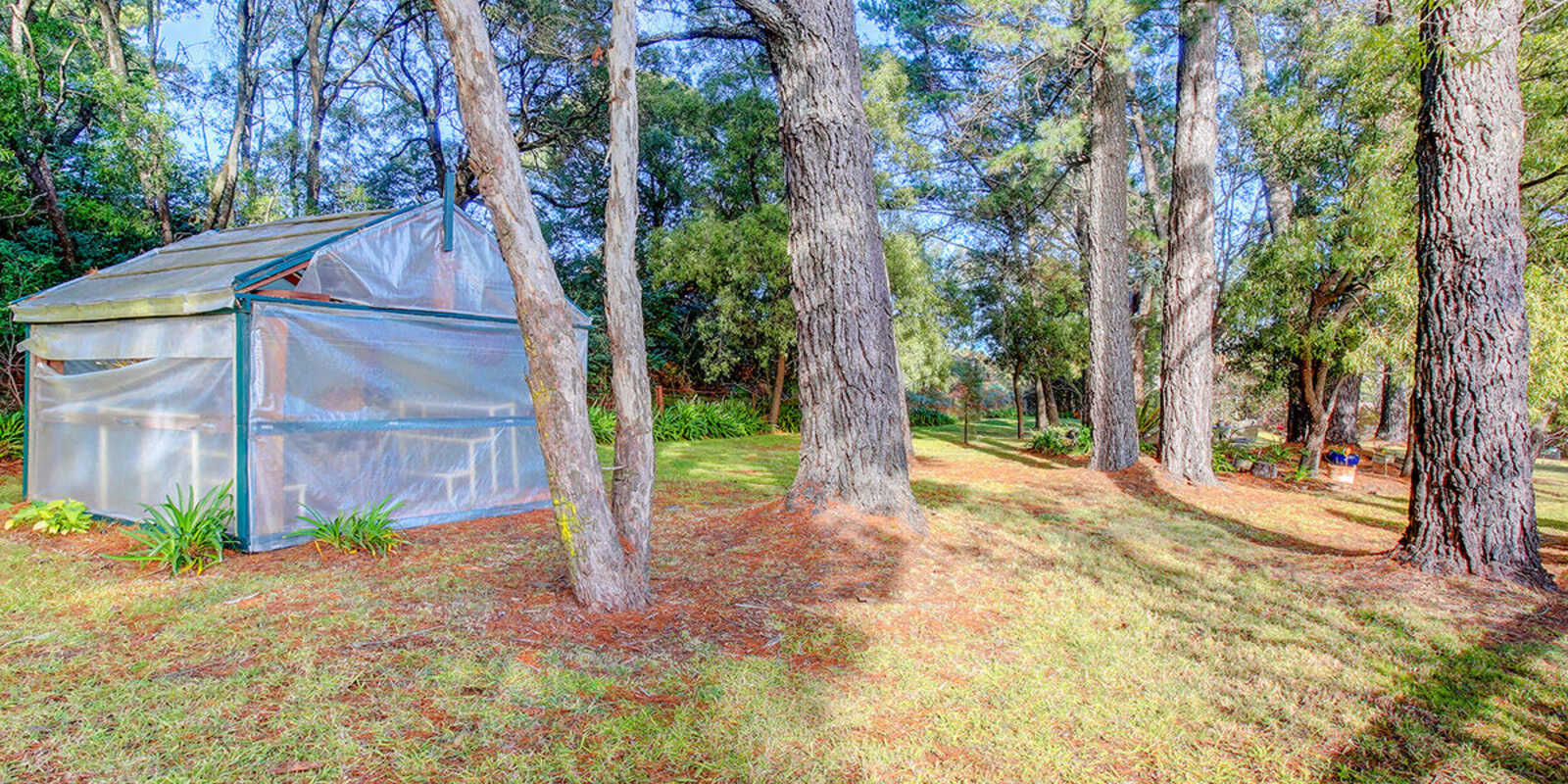 6 Morris Court Bundanoon