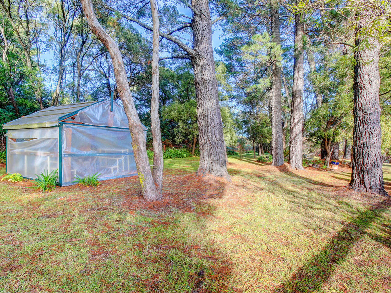 6 Morris Court Bundanoon