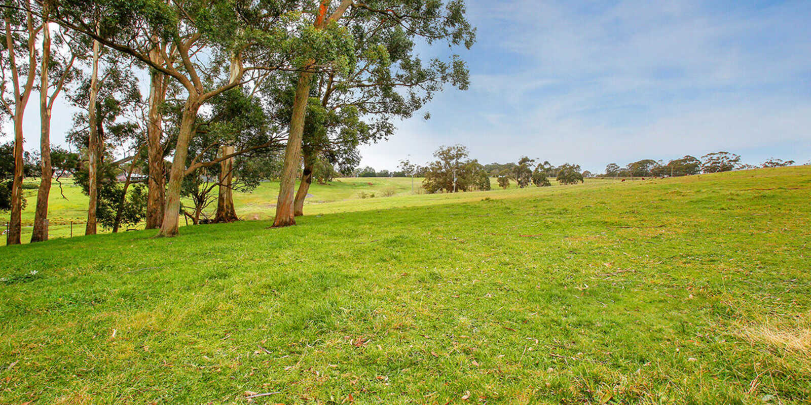 25 Ringwood Lane Exeter 25 Ringwood Lane Exeter