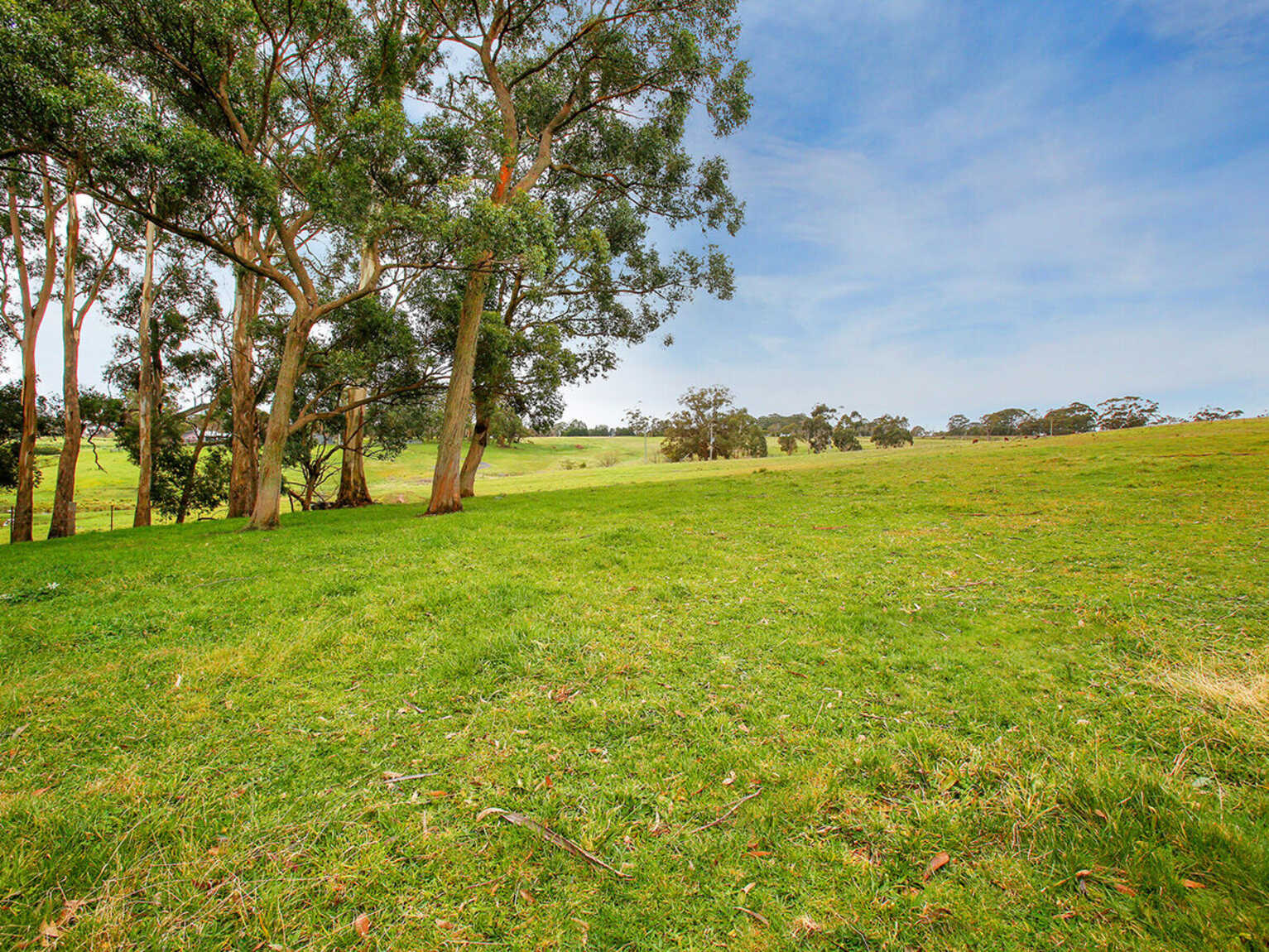 25 Ringwood Lane Exeter 25 Ringwood Lane Exeter