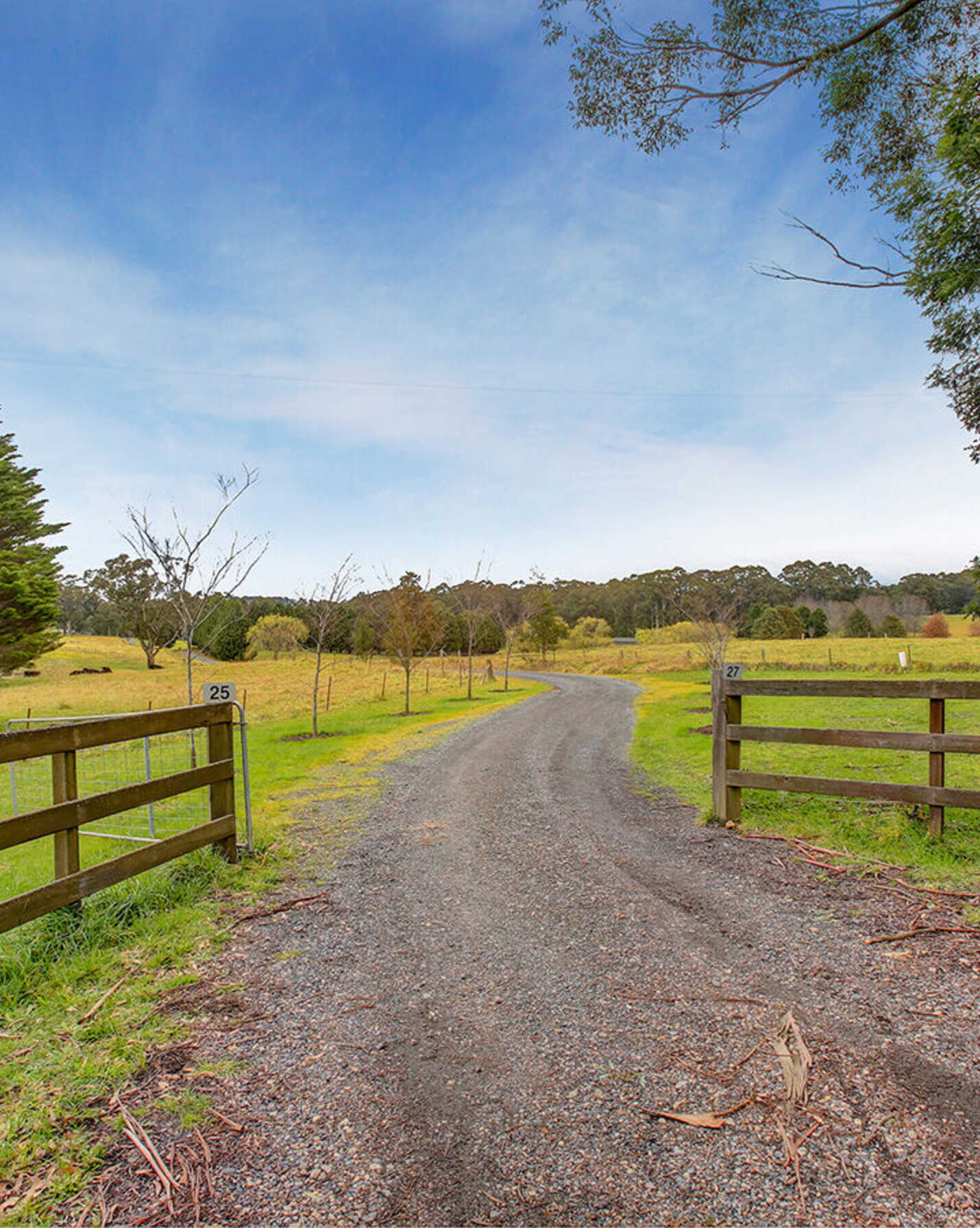25 Ringwood Lane Exeter, Exeter - Thumbnail 5