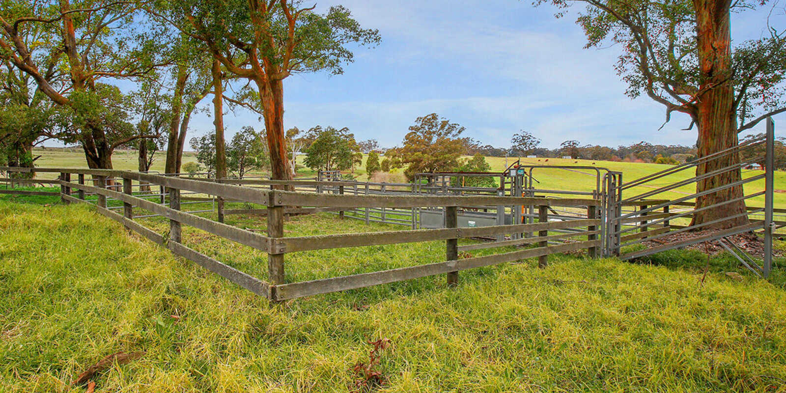 25 Ringwood Lane Exeter 25 Ringwood Lane Exeter