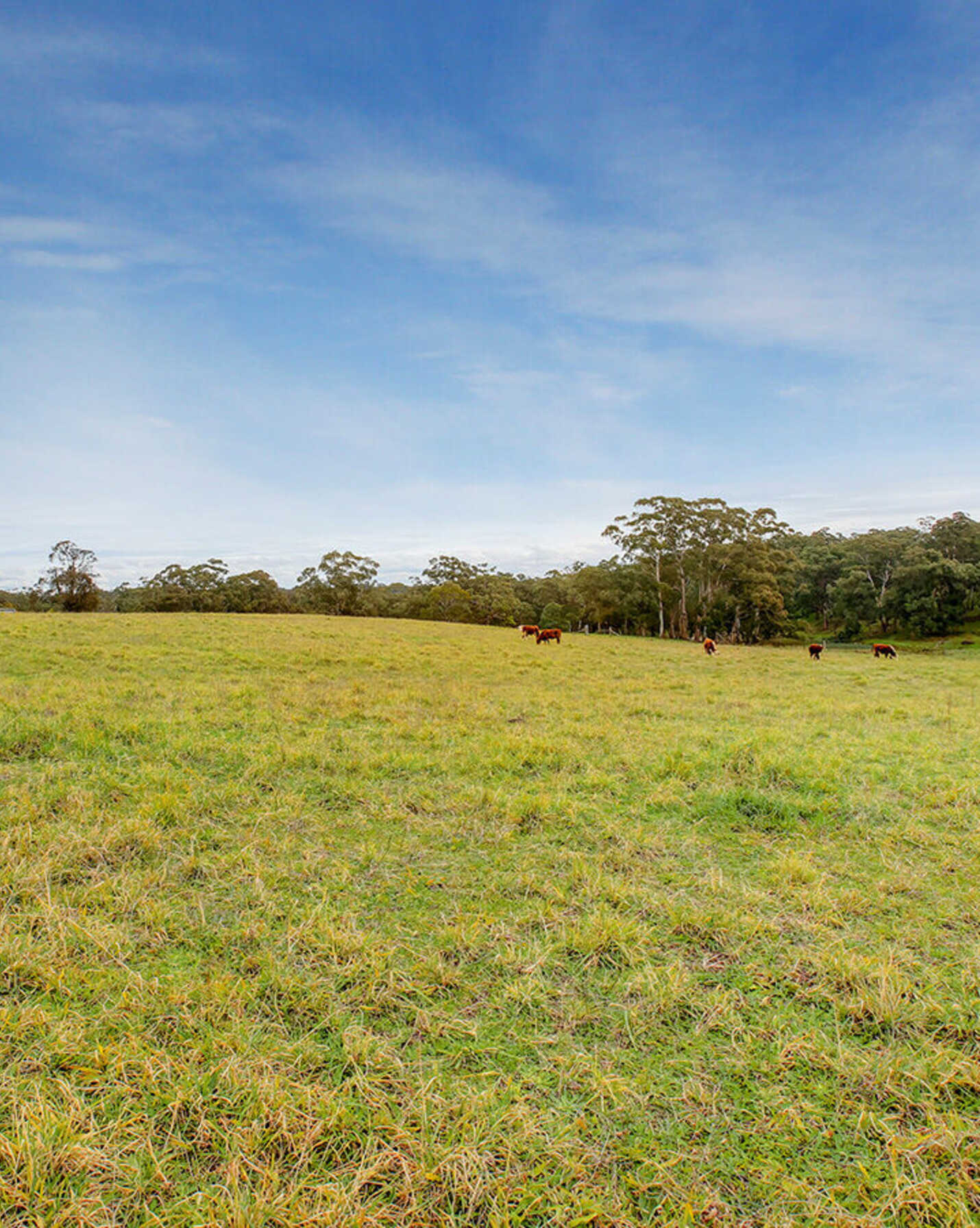 25 Ringwood Lane Exeter, Exeter - Thumbnail 8
