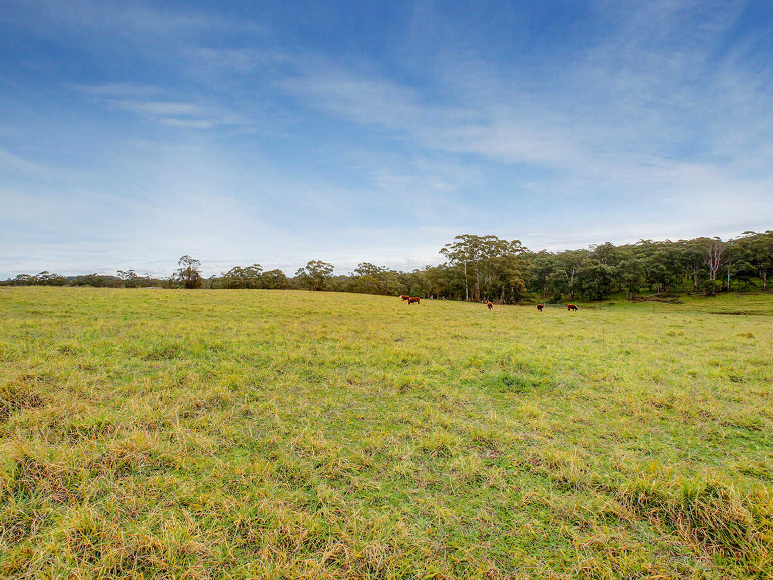 25 Ringwood Lane Exeter 25 Ringwood Lane Exeter