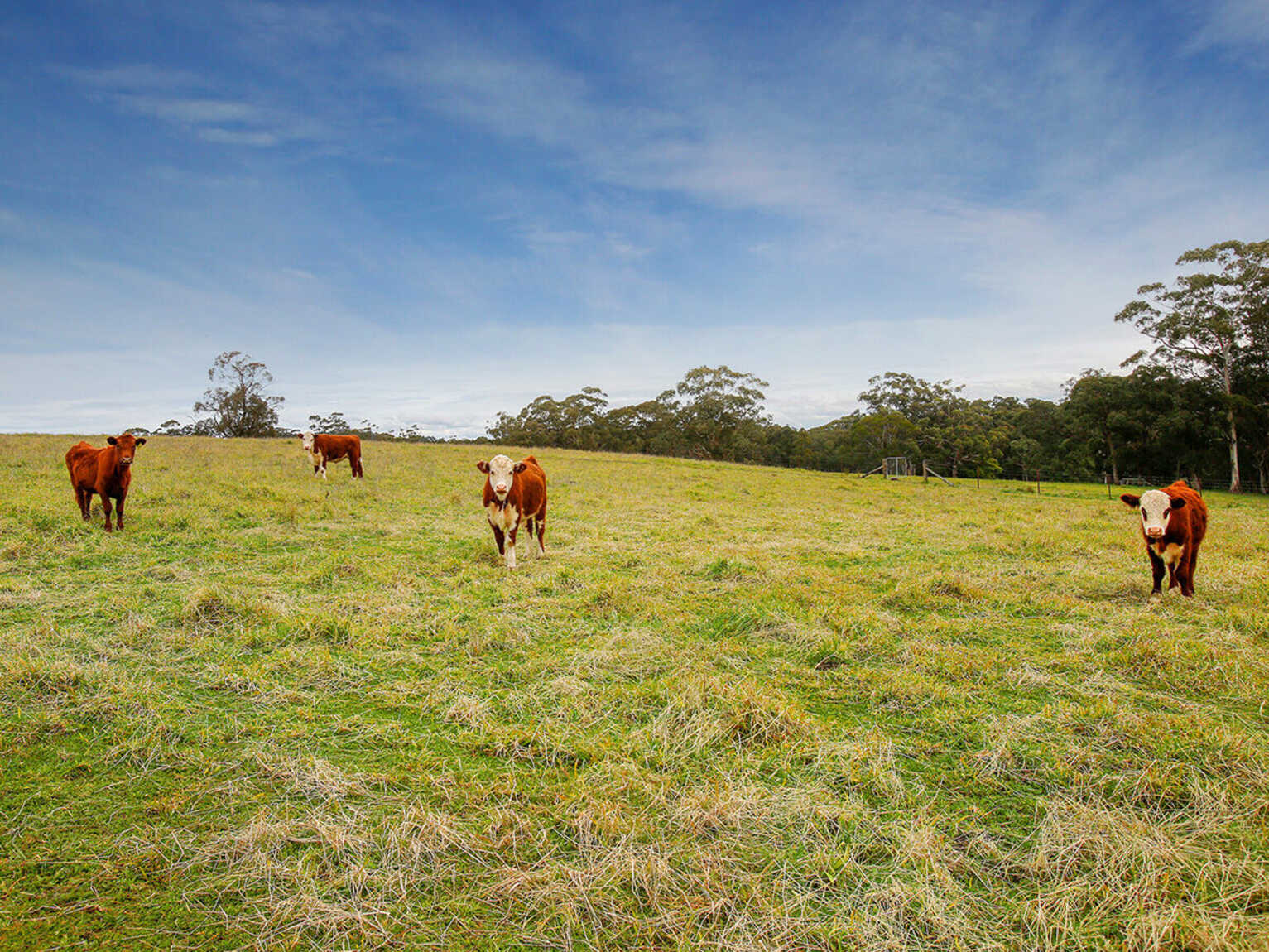 25 Ringwood Lane Exeter 25 Ringwood Lane Exeter