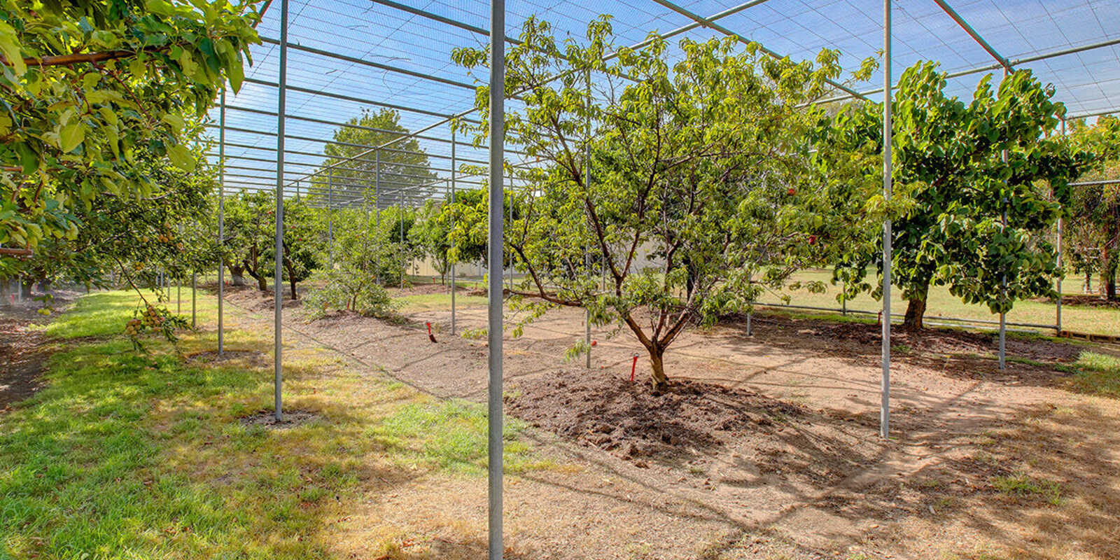 3055 Canyonleigh Road Sutton Forest 3055 Canyonleigh Road Sutton Forest