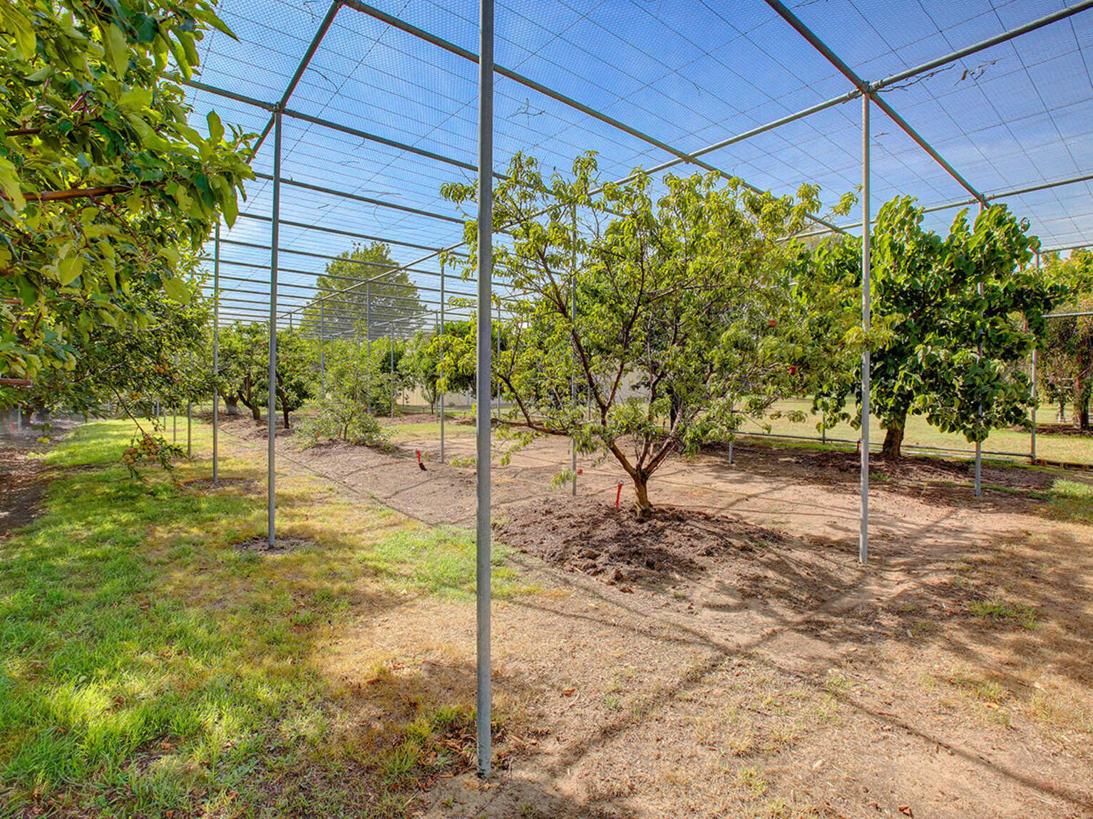 3055 Canyonleigh Road Sutton Forest 3055 Canyonleigh Road Sutton Forest