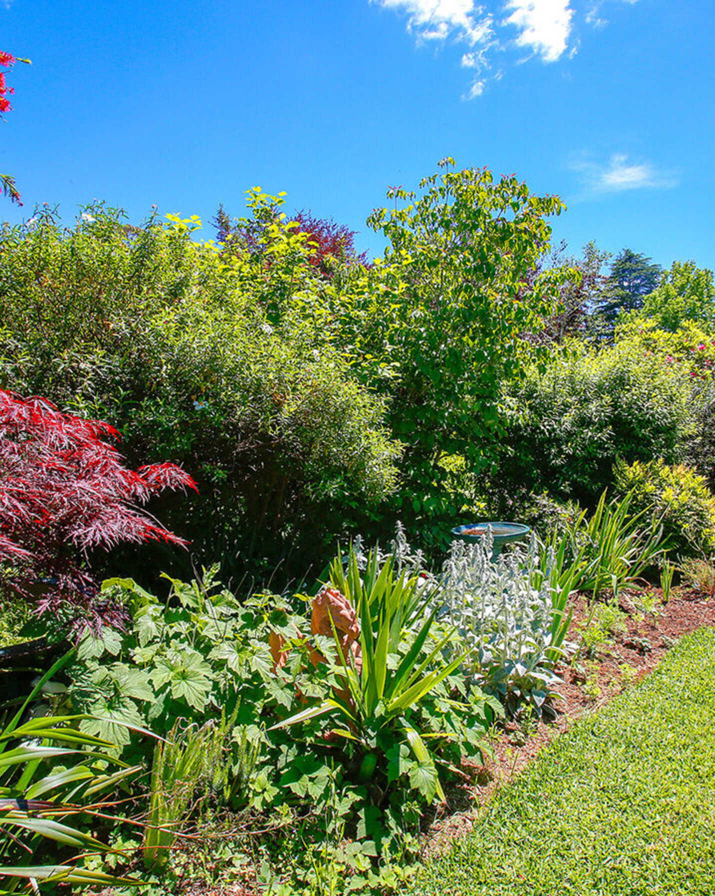 10 Skye Place Bundanoon, Bundanoon - Thumbnail 4