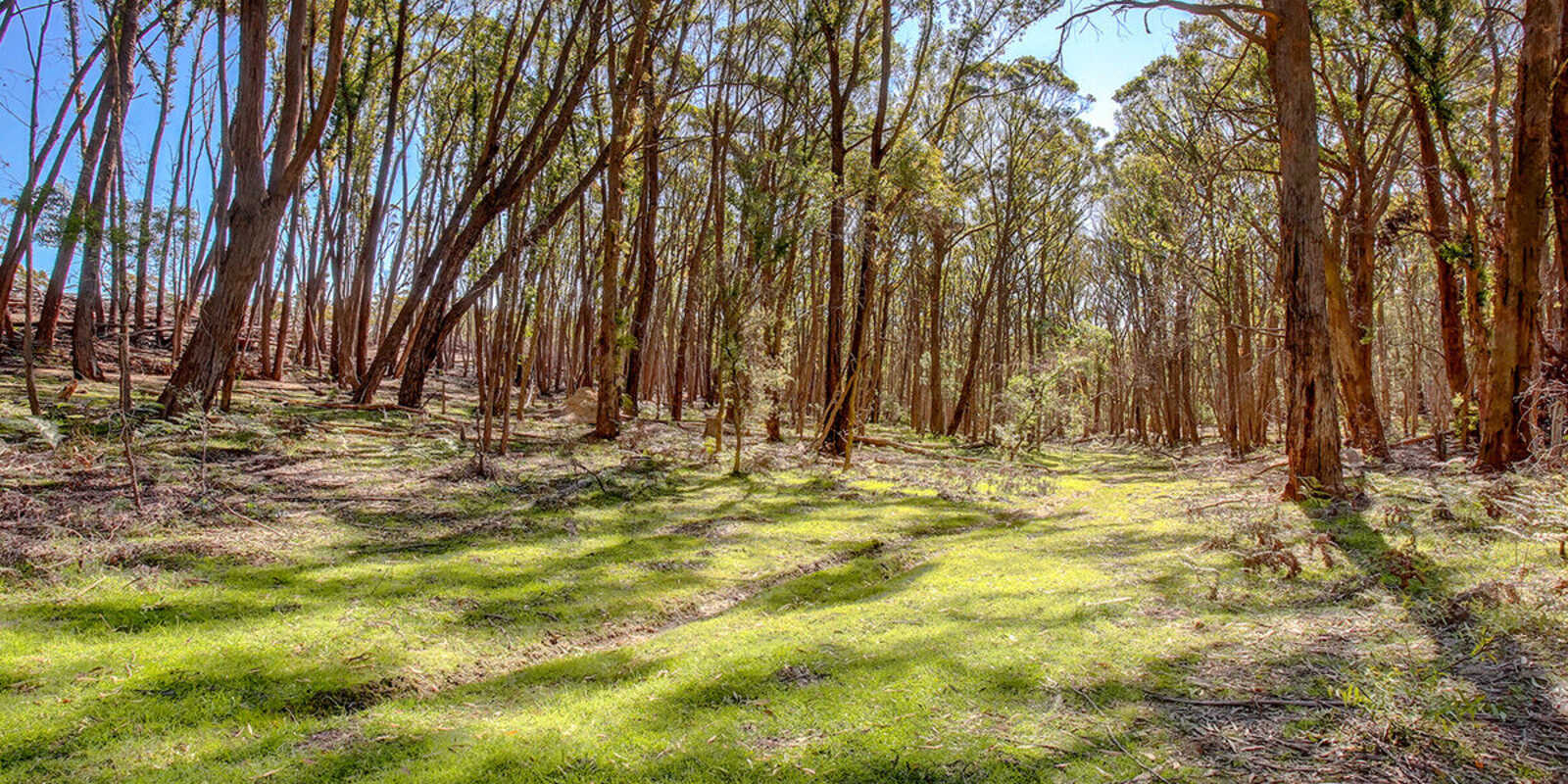 226 Warrima Drive Tallong 226 Warrima Drive Tallong