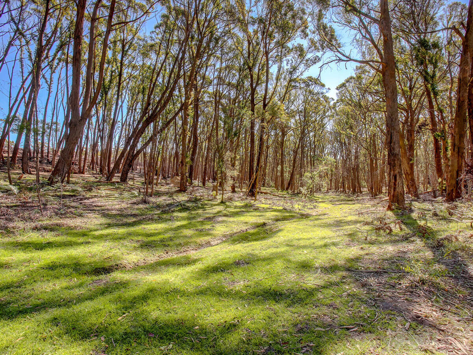 226 Warrima Drive Tallong 226 Warrima Drive Tallong