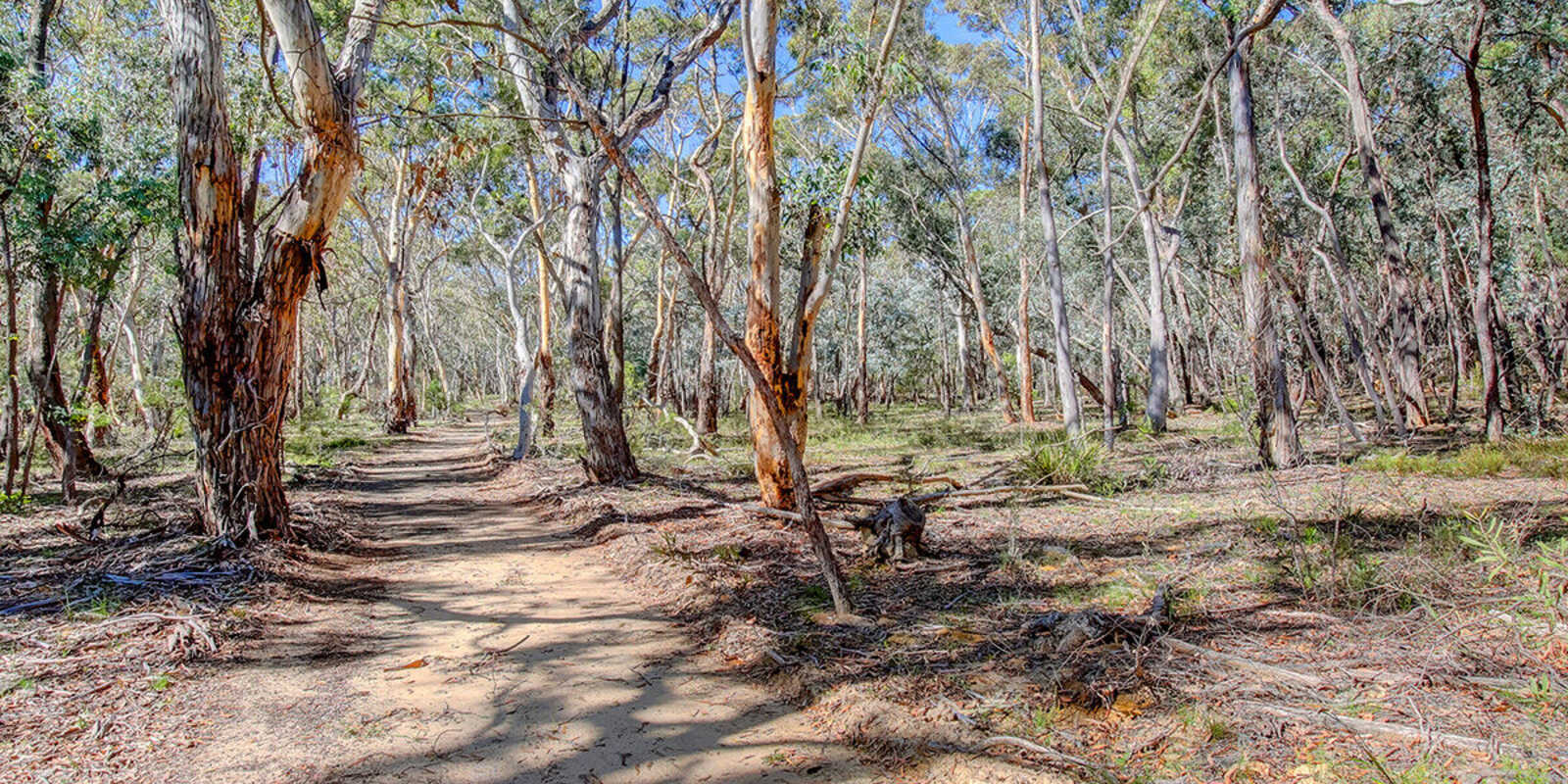 226 Warrima Drive Tallong 226 Warrima Drive Tallong