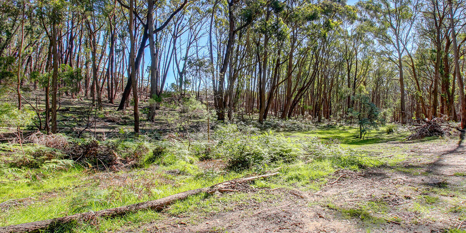 226 Warrima Drive Tallong 226 Warrima Drive Tallong
