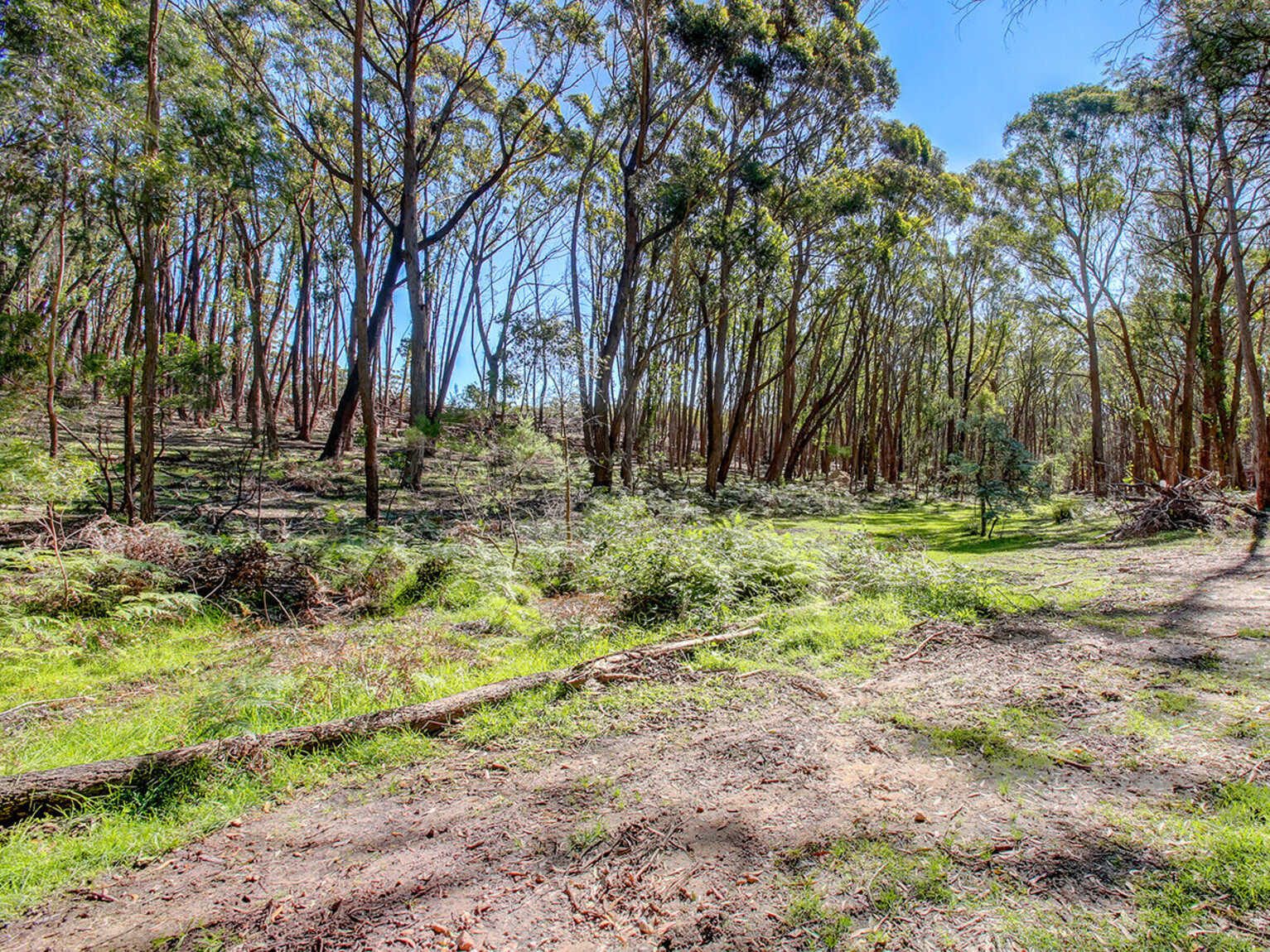 226 Warrima Drive Tallong 226 Warrima Drive Tallong