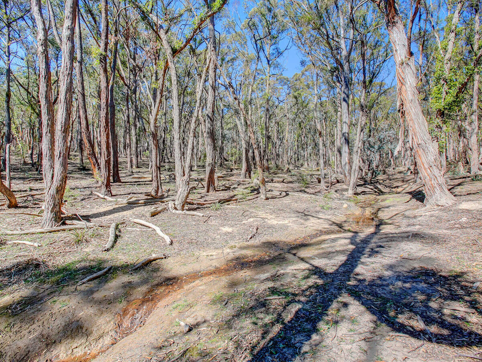 226 Warrima Drive Tallong 226 Warrima Drive Tallong