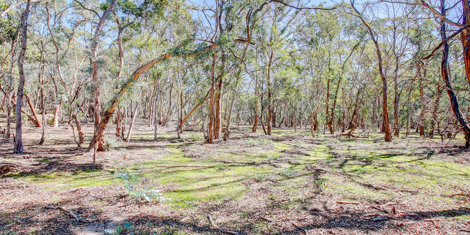 226 Warrima Drive Tallong 226 Warrima Drive Tallong