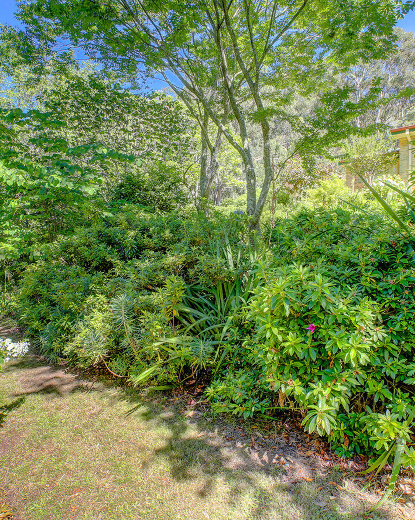 68 Garland Road Bundanoon, Bundanoon - Thumbnail 5
