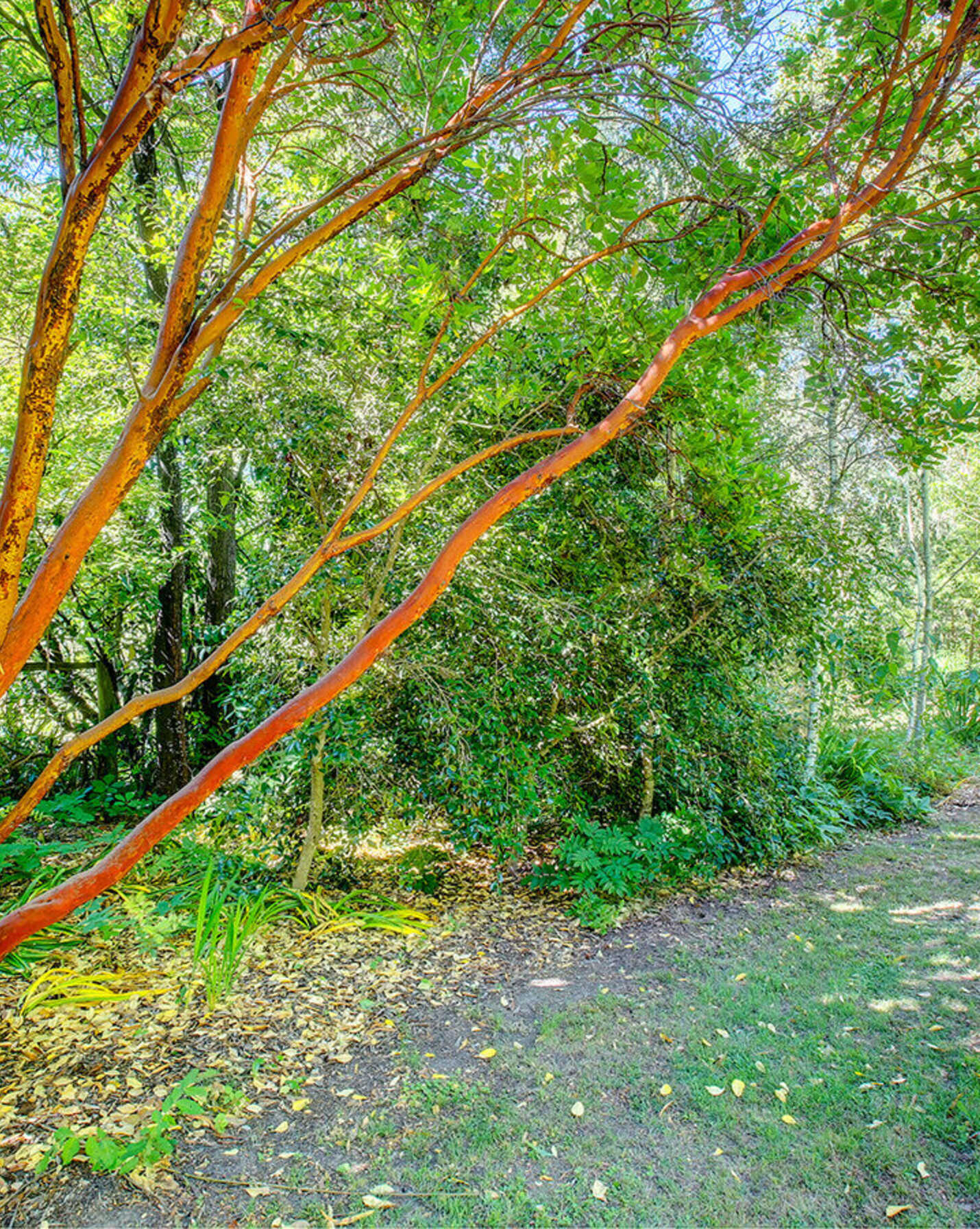 68 Garland Road Bundanoon, Bundanoon - Thumbnail 6