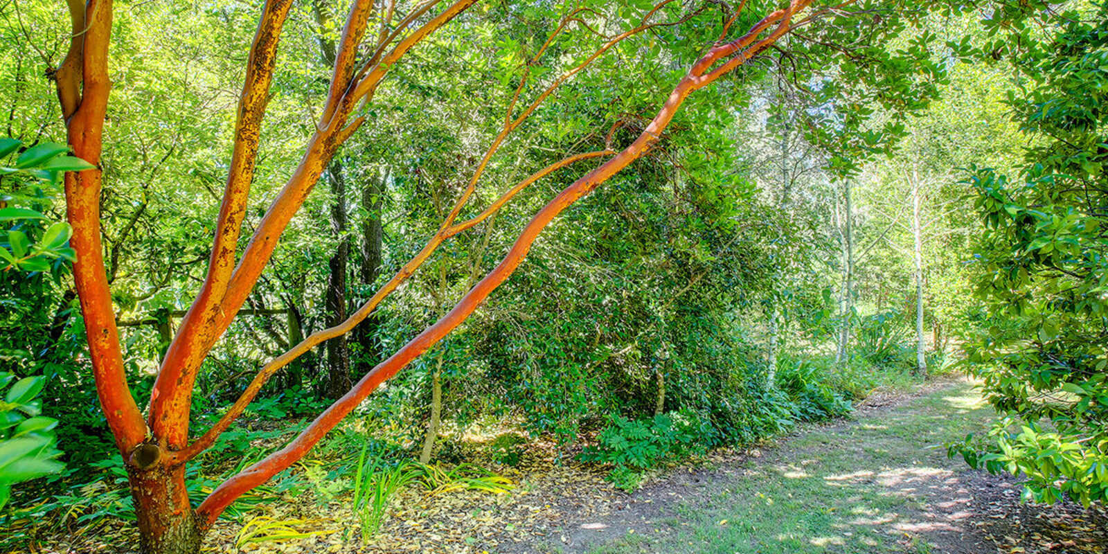 68 Garland Road Bundanoon