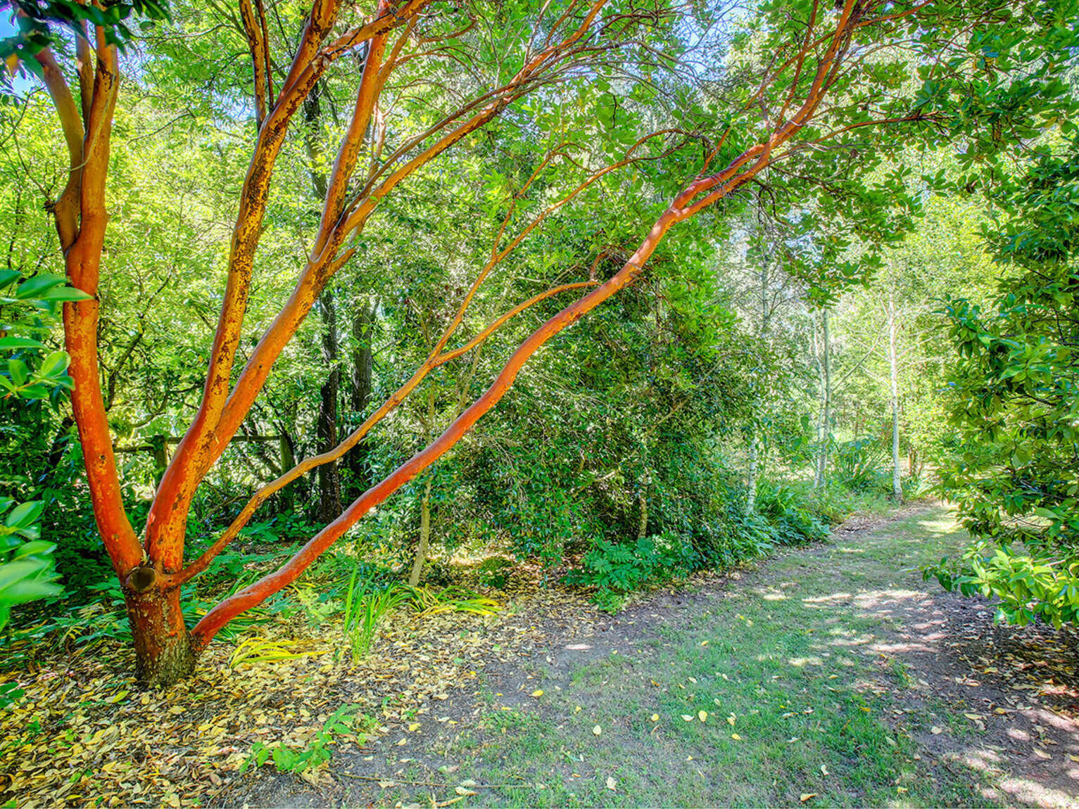 68 Garland Road Bundanoon