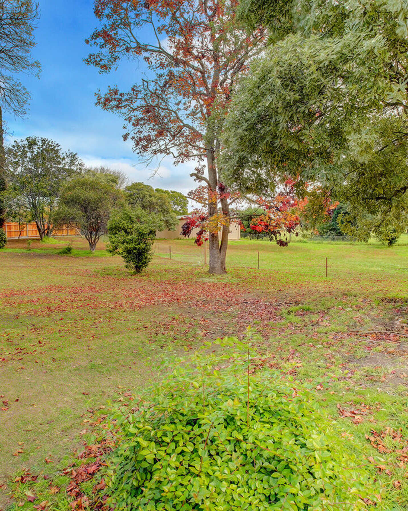 42 Hill Street Bundanoon