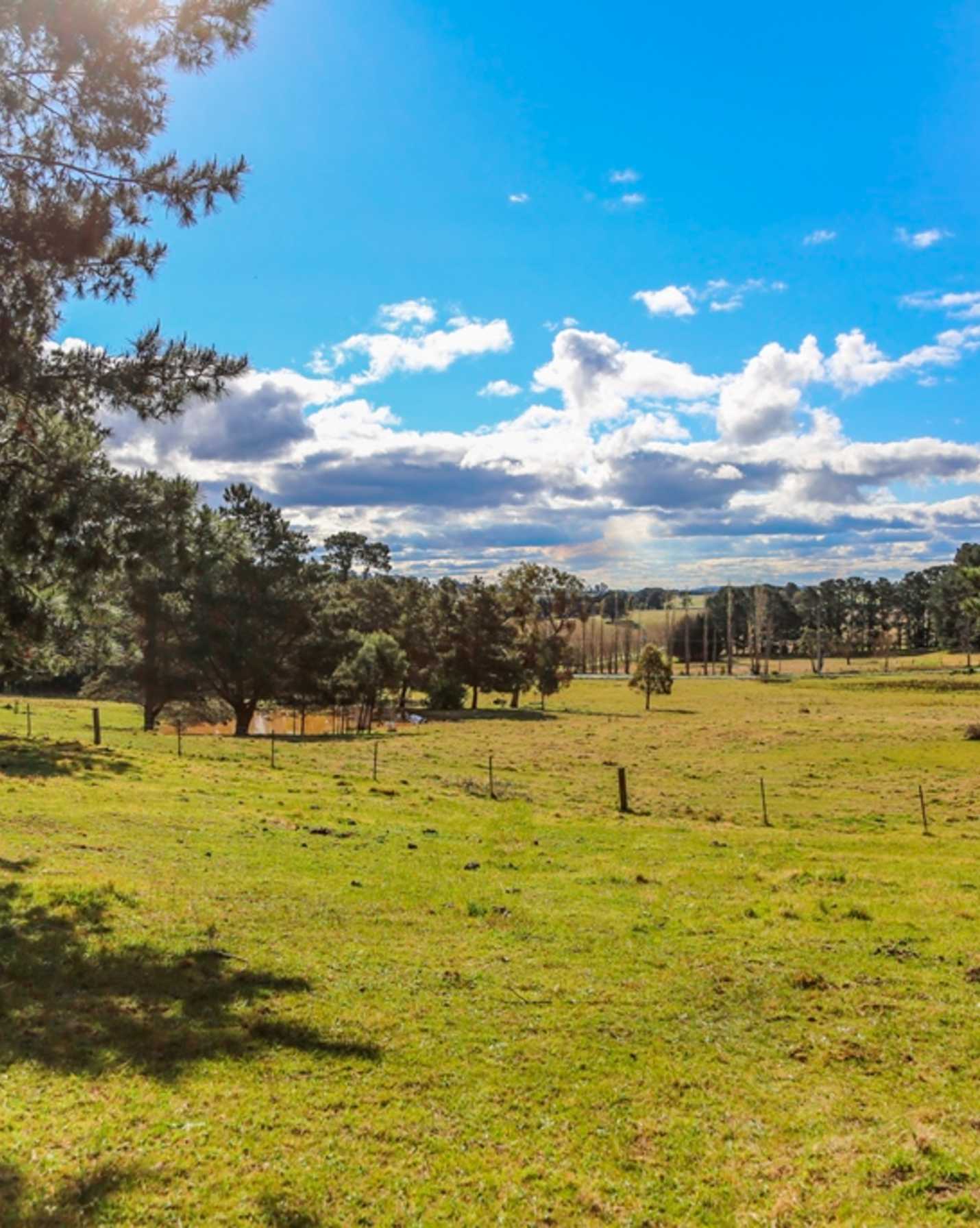 7031 Illawarra Highway Moss Vale, Vale - Image 1