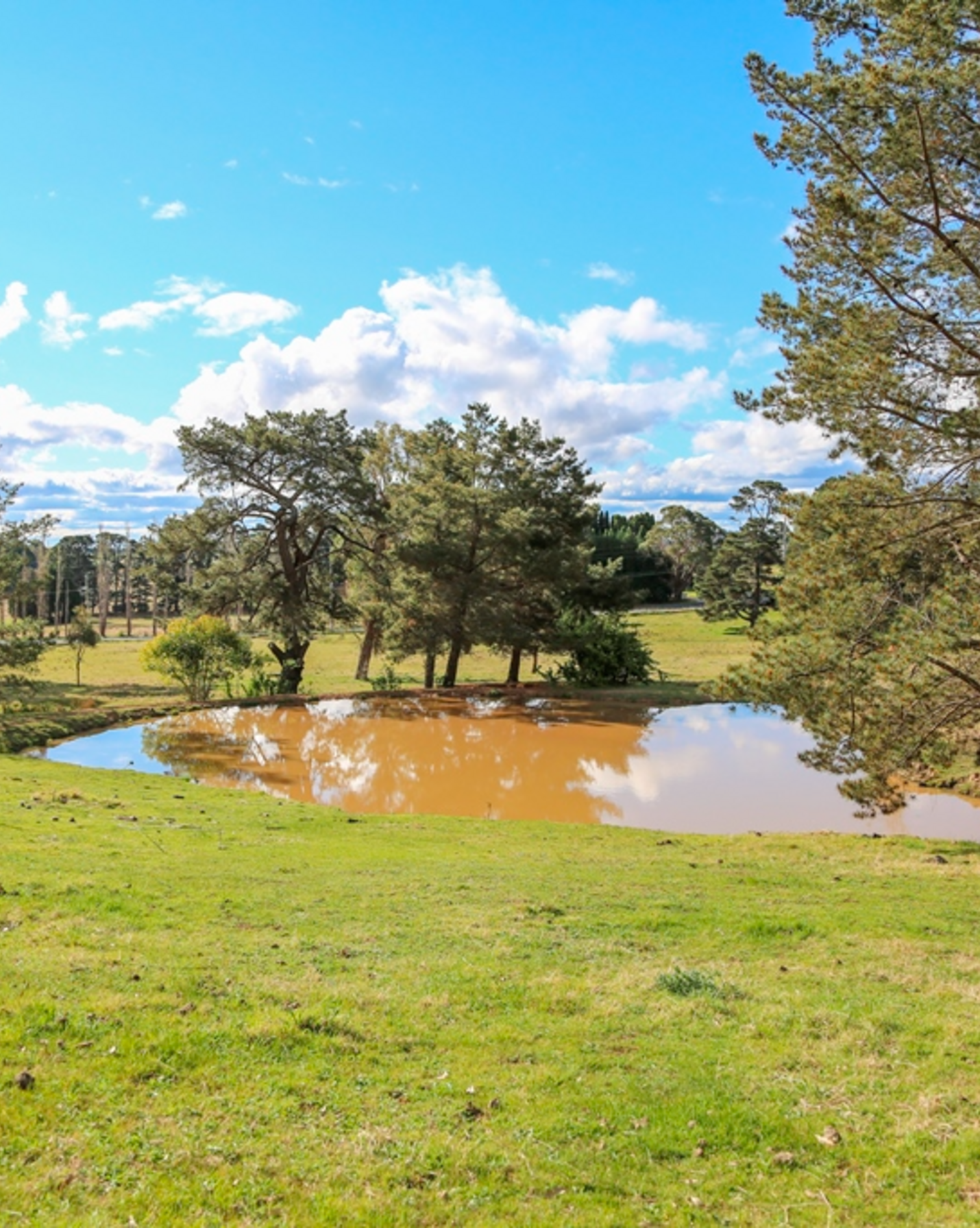 7031 Illawarra Highway Moss Vale, Vale - Thumbnail 2