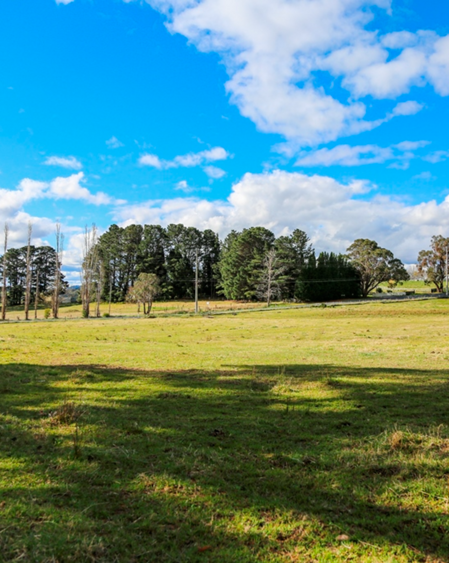 7031 Illawarra Highway Moss Vale, Vale - Thumbnail 3