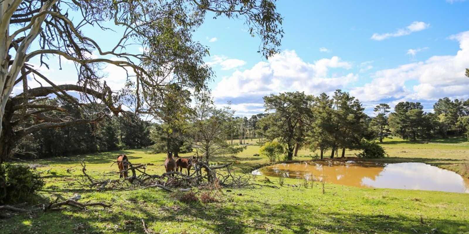 7031 Illawarra Highway Moss Vale 7031 Illawarra Highway Moss Vale