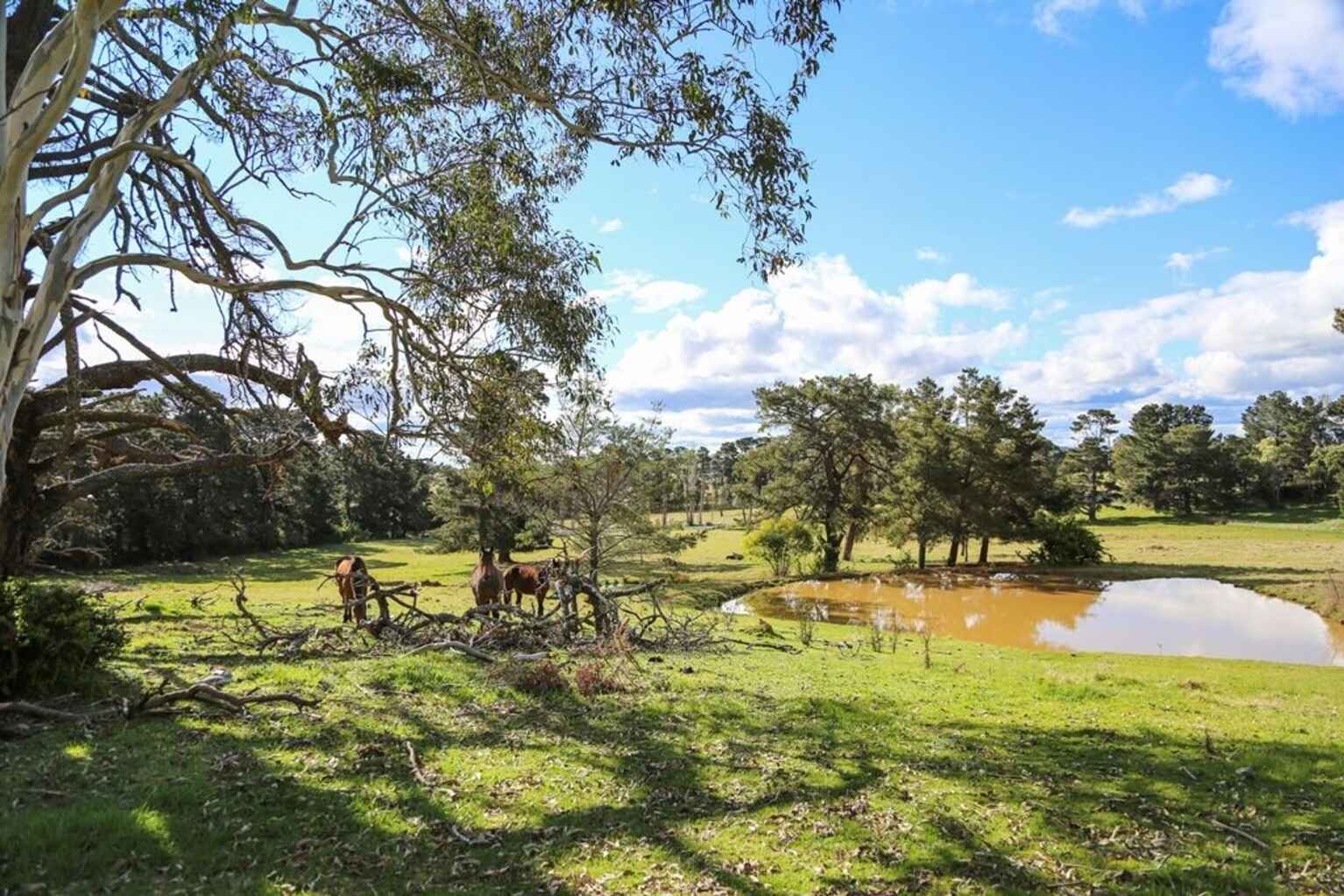 7031 Illawarra Highway Moss Vale 7031 Illawarra Highway Moss Vale