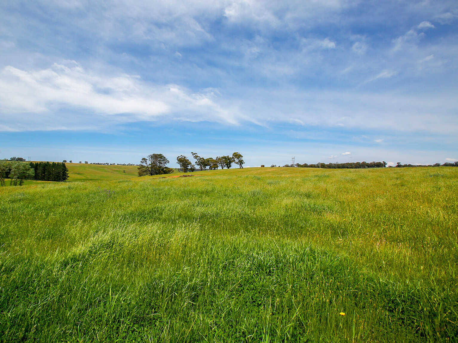 7921 Illawarra Highway Sutton Forest 7921 Illawarra Highway Sutton Forest
