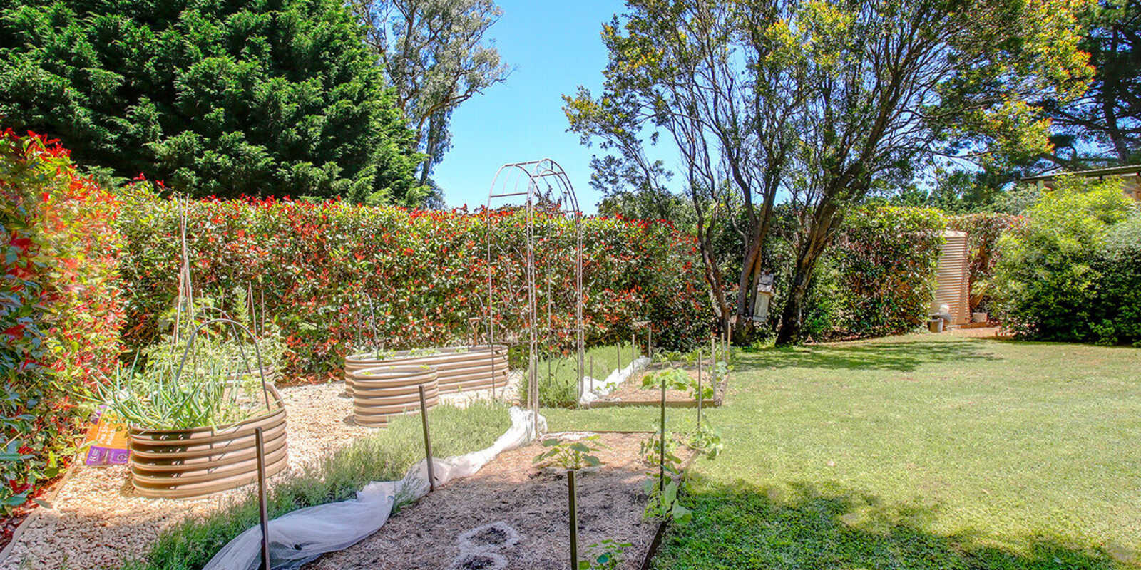 520 Ellsmore Road Exeter