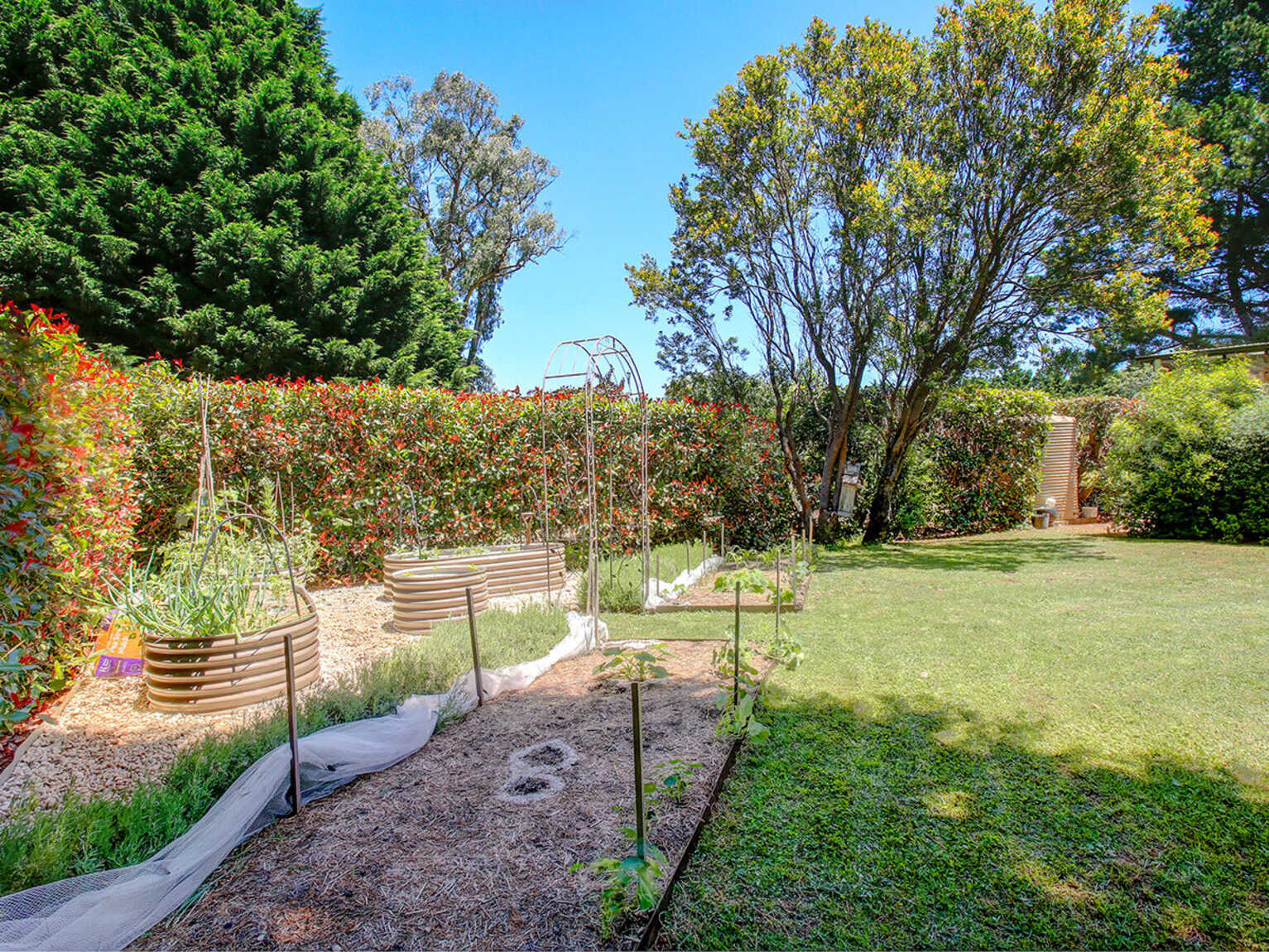 520 Ellsmore Road Exeter