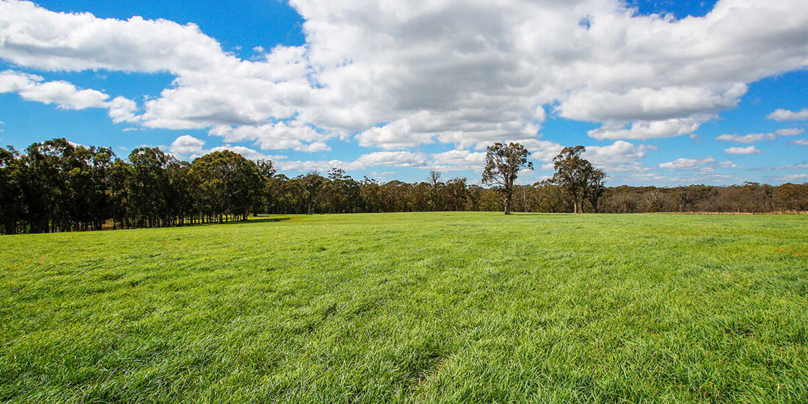Owls Ridge 140 Foxgrove Road Canyonleigh