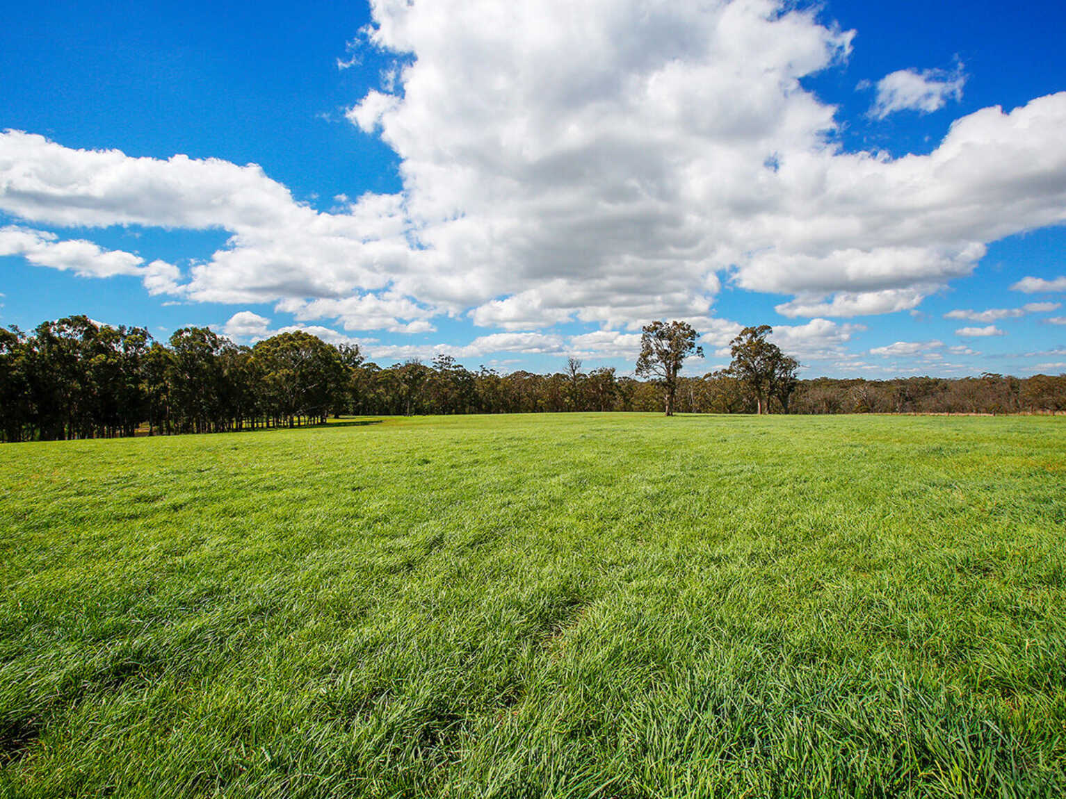 Owls Ridge 140 Foxgrove Road Canyonleigh